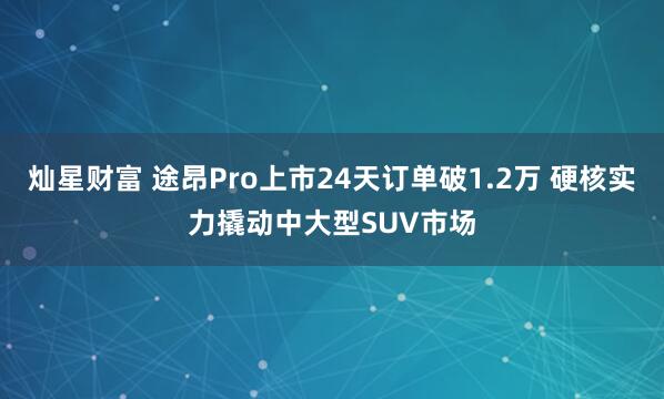灿星财富 途昂Pro上市24天订单破1.2万 硬核实力撬动中大型SUV市场