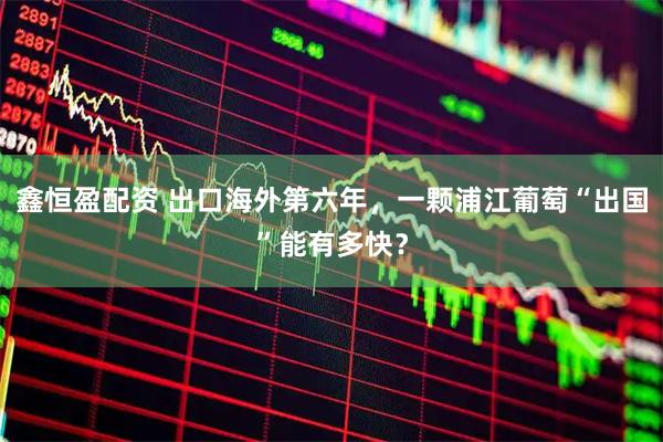 鑫恒盈配资 出口海外第六年，一颗浦江葡萄“出国”能有多快？