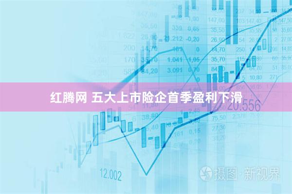 红腾网 五大上市险企首季盈利下滑