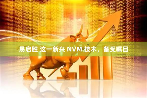 易启胜 这一新兴 NVM 技术，备受瞩目