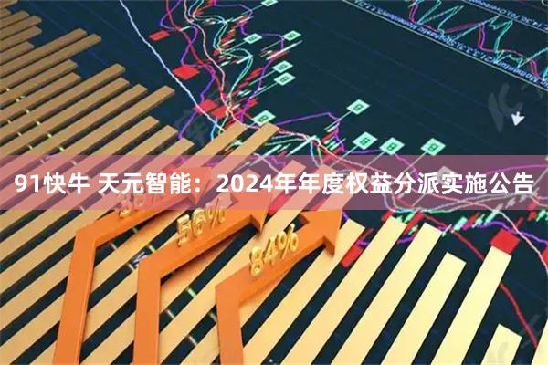 91快牛 天元智能：2024年年度权益分派实施公告