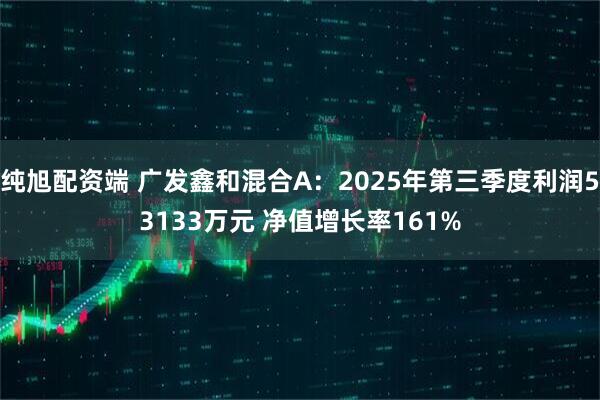 纯旭配资端 广发鑫和混合A：2025年第三季度利润53133万元 净值增长率161%